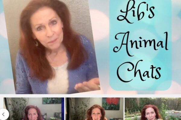 Lib's Animal Chats on YouTube