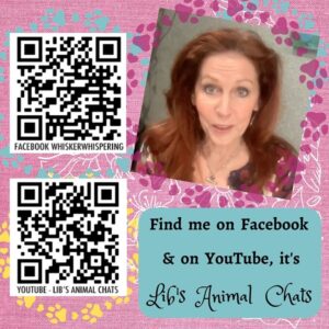 WhiskerWhispering on Facebook and Lib's Animal Chats on YouTube