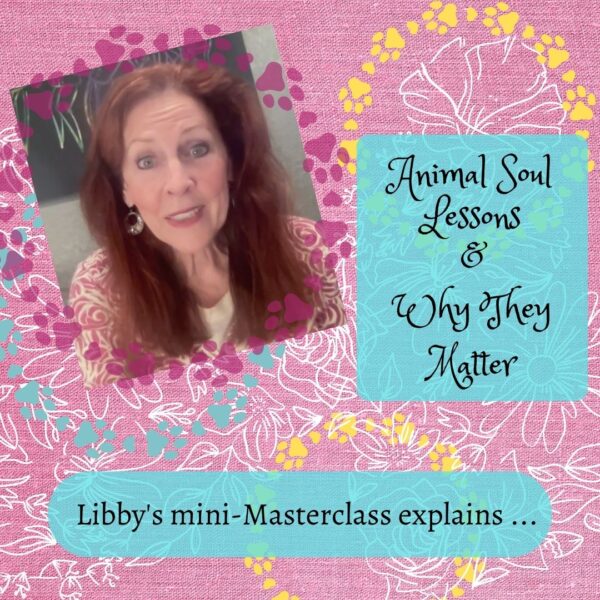 Animal Soul Lessons & Why They Matter