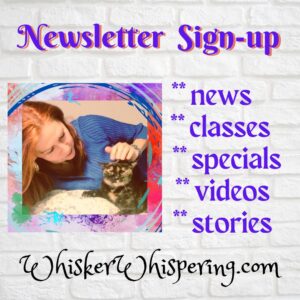 Sign up for Libby's monthly newsletter, Lib's Animal Chats